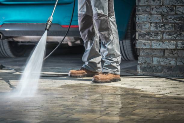 Best Pre-Holiday Cleaning  in Windsor, IL